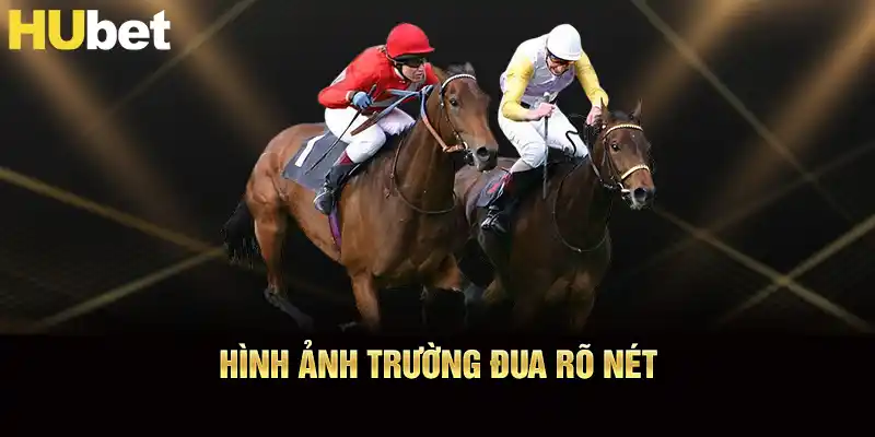 Hình ảnh trường đua rõ nét