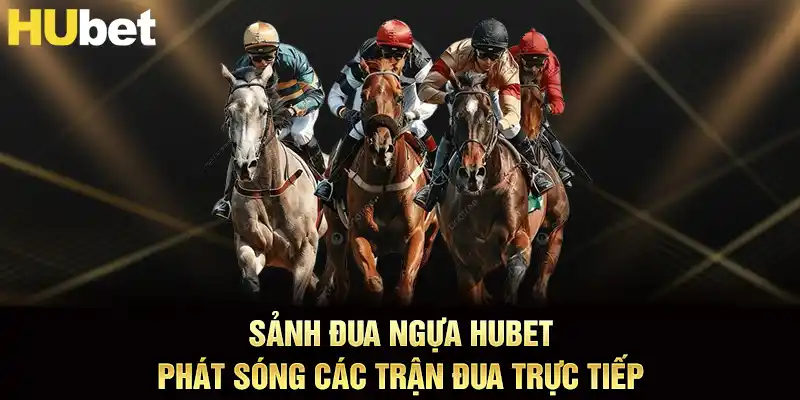 Sảnh đua ngựa hubet phát sóng các trận đua trực tiếp