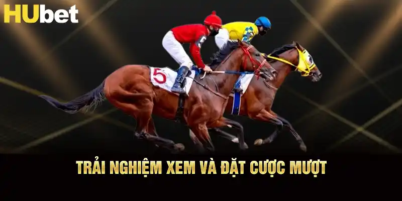 Trải nghiệm xem và đặt cược đua ngựa Hubet mượt mà