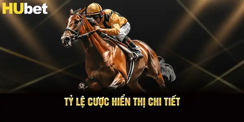 Tỷ lệ cược đua ngựa hubet hiển thị chi tiết